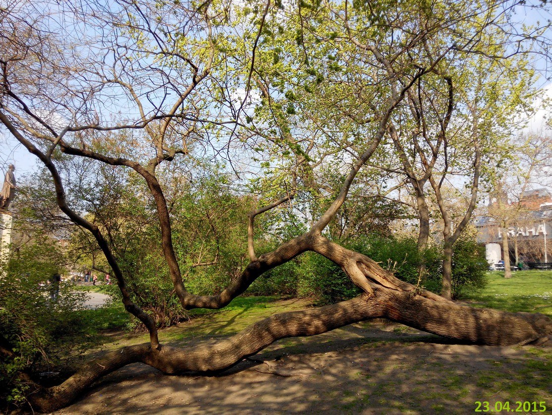 /var/www/vhosts/elenn okienko.sk/httpdocs/W/wp content/uploads/2015/04/praha 2015 04 23 16.34.25