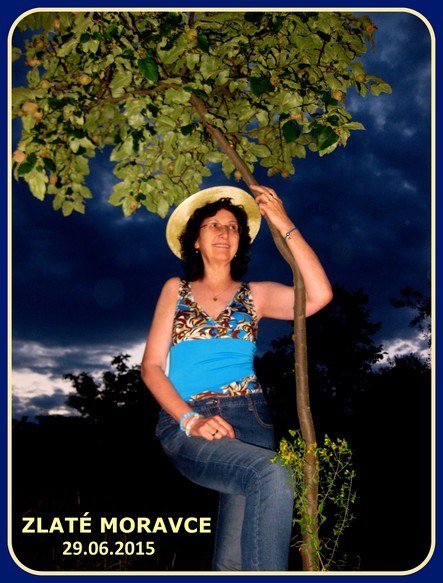 EW_ZM_2015-06-29_0644