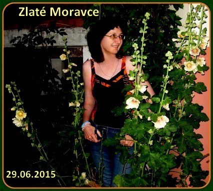 EW_ZM_2015-08-29_0639